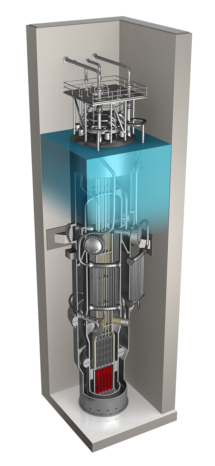 Cross section of Nuscale Power Module. 